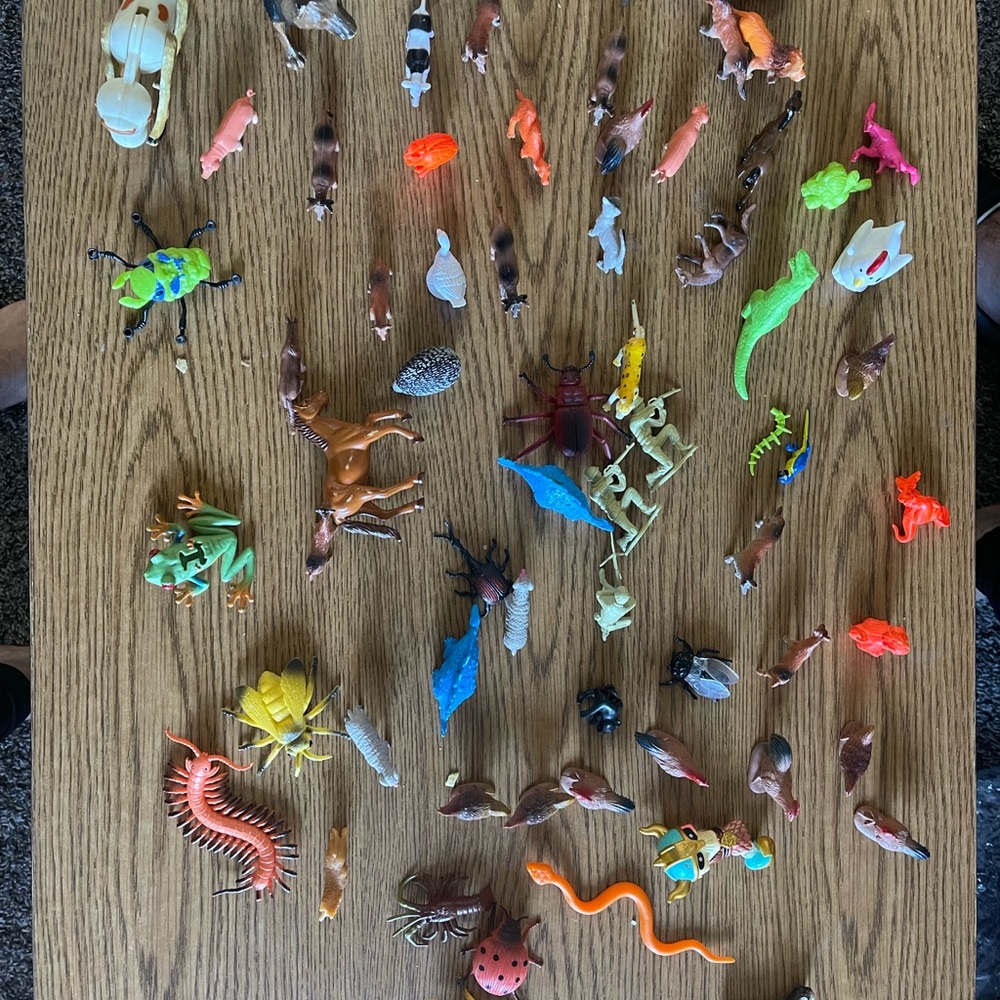 Toy - Picture 5 of 5